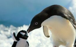 Lee’s Five Word Friday –&nbsp;8/11/17