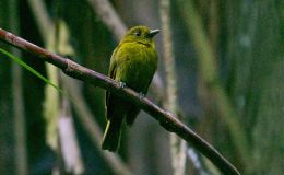 Time For A New Update – I.O.C. Version&nbsp;7.3