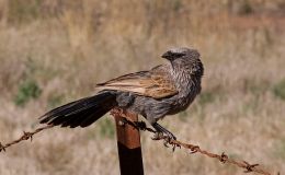 Matthew Chapter A Day –&nbsp;10