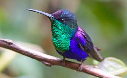 Happy New Year&nbsp;2018