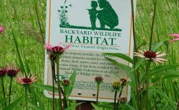 Backyard Birdwatching,  Enhanced by Mini-Habitat Planning,  with an Application of Romans&nbsp;13:7