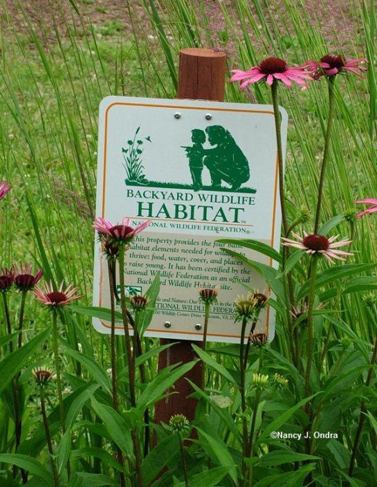 Backyard-Wildlife-Habitat.NWF-sign