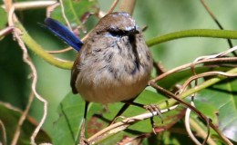 Meeting the Challenge of a New Year –&nbsp;Repost