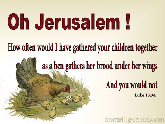Luke13.34-KnowingJesus.com-pic