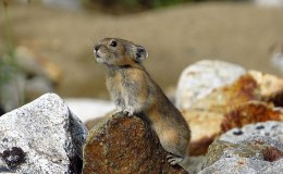 Lord, I Need To Talk To&nbsp;You