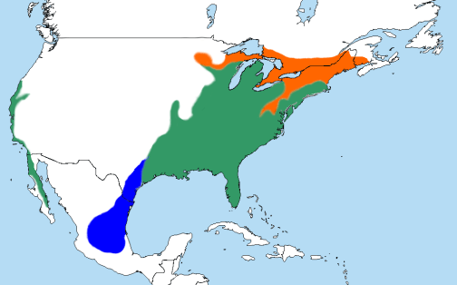 RedShouldered-Hawk.RangeMap-Wikipedia