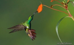 Lee’s Five-Word Friday – Wonders Which You Have&nbsp;Done