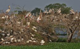 Lee’s Four Words – They Gather Themselves&nbsp;Together