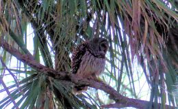 Newest Articles on the Kid’s&nbsp;Blog