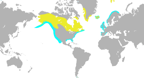 CommonLoon-RangeMap-wikipedia
