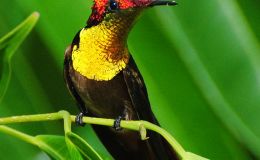 How Are We Reflecting God’s&nbsp;Light?