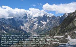 Avian And Attributes –&nbsp;Shade