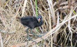 When I Am&nbsp;Grown