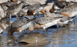 Eggs Taste Better if&nbsp;Salted