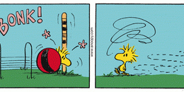 Flying Is Safer – At Least For&nbsp;Woodstock