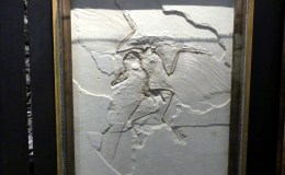 Home Again After 2,000 Mile&nbsp;Trip