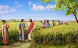 Matthew Chapter A Day –&nbsp;12
