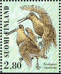 eurasianwoodcock-finland-postage
