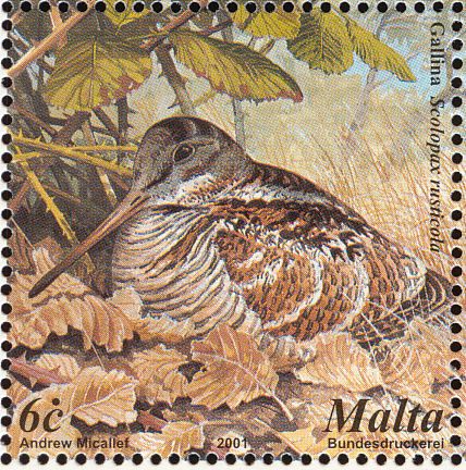 eurasianwoodcock-malta-postage