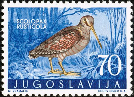eurasianwoodcock-yugoslavia-postage