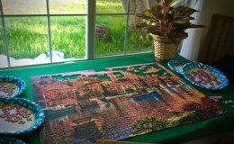 Longing For Robins by Dorothy Belle&nbsp;Malcolm