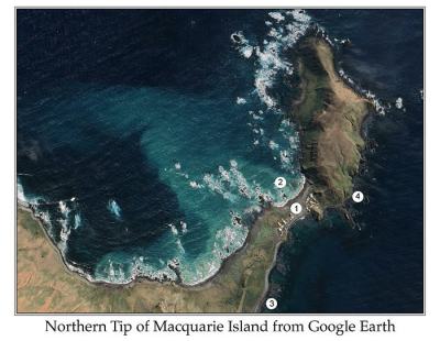 Northern Tip of Macuarie Island from Google Earth by Ian