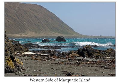Western Side of Macuarie Island by Ian