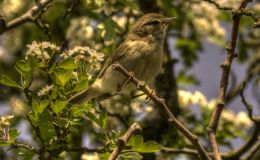 Why Use The&nbsp;Ark?