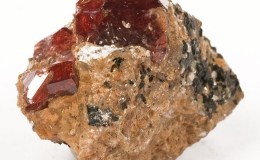 Heaven’s New Jerusalem and Birds –&nbsp;Jacinth