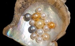 Pearly Gates and Pearly&nbsp;Birds