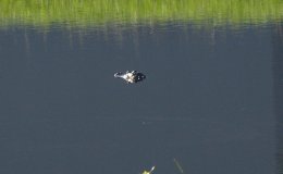 Whoa!! From My&nbsp;Window