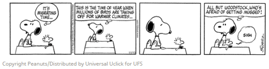 Snoopy and Woodstock - migration fear