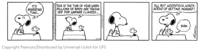 Snoopy and Woodstock - migration fear