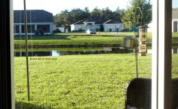 An Apology and a Great Thank&nbsp;You!!