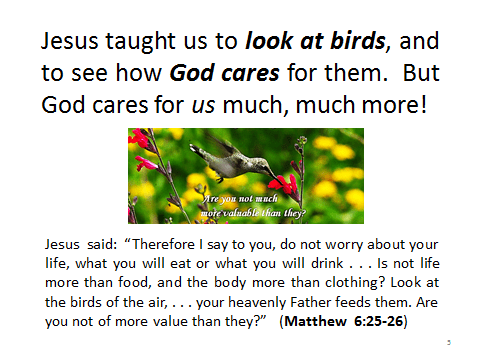birds-Matthew6.25-26