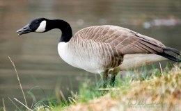 Here am I, Where are&nbsp;You?