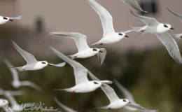 True From The&nbsp;Beginning