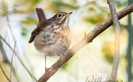 From The Deepest Wilderness, To The Most Crowded&nbsp;Cities