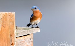 Could it be that God is in&nbsp;Control???