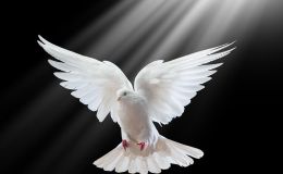 Jesus And Birds – His&nbsp;Baptism