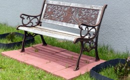 Backyard Birdwatching –&nbsp;Maybe