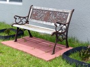Old Bench for Backyard Birdwatching