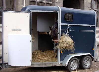 Horse in Trailer ©WikiC