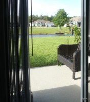 Variant House Finch 5-14-20