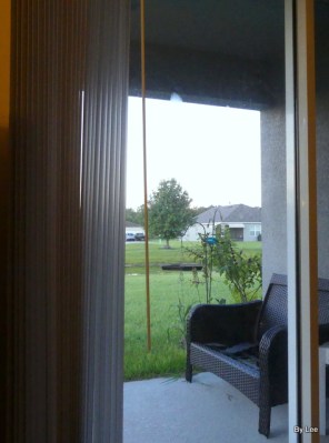 Great Blue Heron on Housetop by Lee