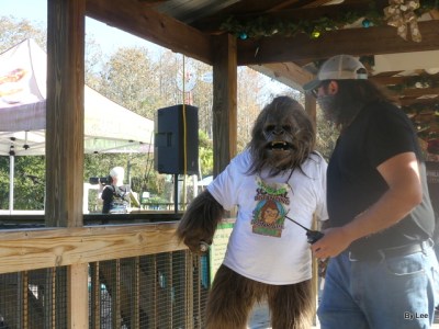 Skunk Ape at Gatorland 123020 by Lee (16)