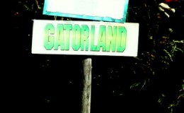Our Gatorland Welcome&nbsp;12-30-20