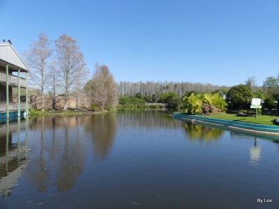 Gatorland Feb 25, 2021 by Lee