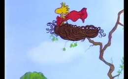 Does Woodstock’s Nest Need A&nbsp;Plumber?