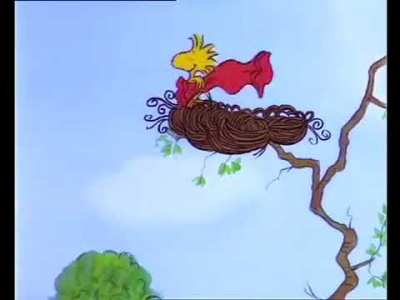 Woodstock With A Towel